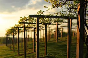 5634 Autumn Flame Dr, Braselton, GA 30517 - Photo 111