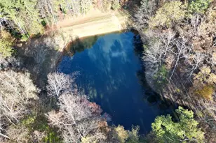 336 Tanglewood Dr, Canton, GA 30115 - Photo 59