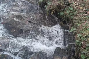 1016 Deer Wood Trail, Cleveland, GA 30528 - Photo 45