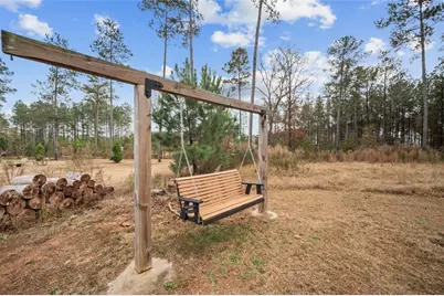 366 Newberry Estates Crossing, Senoia, GA 30276 - Photo 35