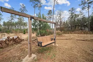 366 Newberry Ests Xing, Senoia, GA 30276 - Photo 35