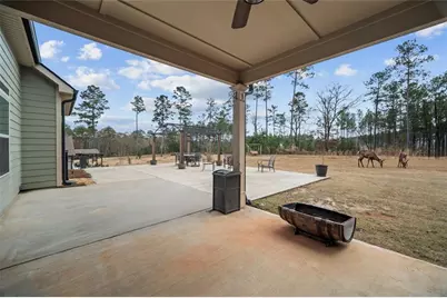 366 Newberry Estates Crossing, Senoia, GA 30276 - Photo 33