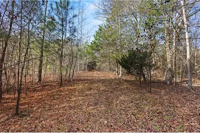 73 Paul Smith Road, Covington, GA 30014 - Photo 31