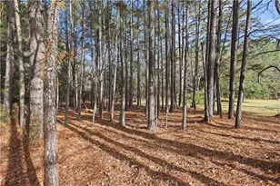 73 Paul Smith Rd, Covington, GA 30014 - Photo 23