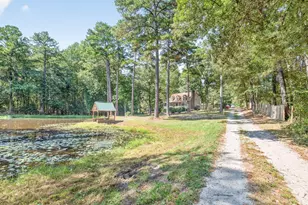 4107 Rosebud Rd, Loganville, GA 30052 - Photo 43