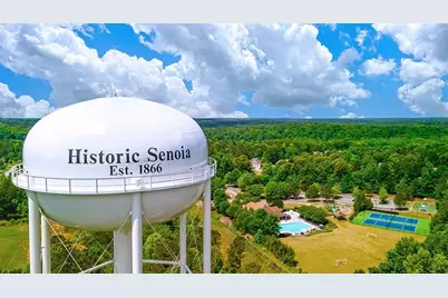 335 Staffin Drive, Senoia, GA 30276 - Photo 47