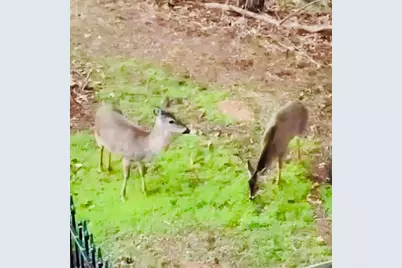 4141 Riverview Run Court, Suwanee, GA 30024 - Photo 39