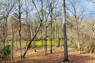 4141 Riverview Run Ct, Suwanee, GA 30024 - Photo 39