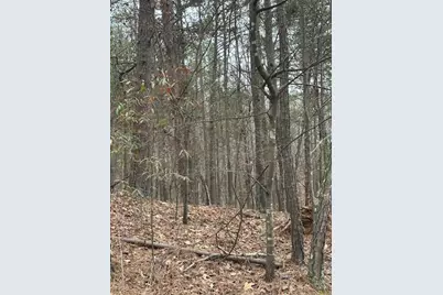 0 Cole Lake Road, Dallas, GA 30157 - Photo 11