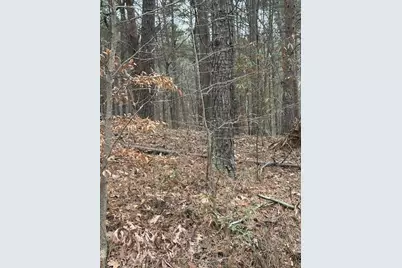 0 Cole Lake Road, Dallas, GA 30157 - Photo 5