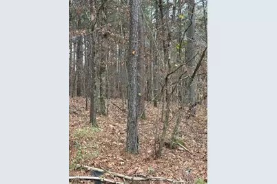 0 Cole Lake Road, Dallas, GA 30157 - Photo 9