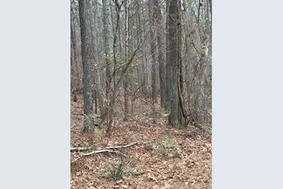 0 Cole Lake Road, Dallas, GA 30157 - Photo 7