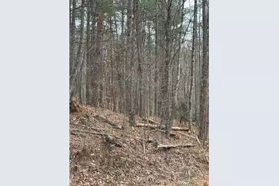 0 Cole Lake Road, Dallas, GA 30157 - Photo 3