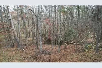 0000 Blackburn Tract 3A Road, Dawsonville, GA 30534 - Photo 5