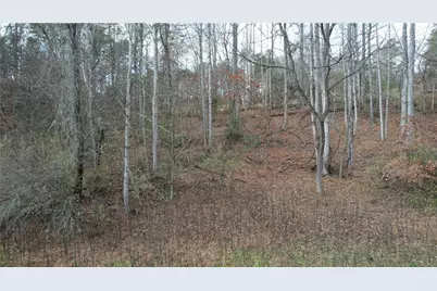 0000 Blackburn Tract 3A Road, Dawsonville, GA 30534 - Photo 23