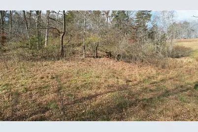 0000 Blackburn Tract 3A Road, Dawsonville, GA 30534 - Photo 13