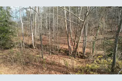 0000 Blackburn Tract 3A Road, Dawsonville, GA 30534 - Photo 17