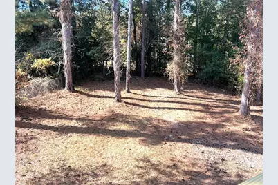 47 Collins Drive, Douglasville, GA 30134 - Photo 31