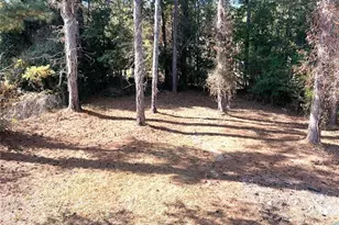 47 Collins Dr, Douglasville, GA 30134 - Photo 31