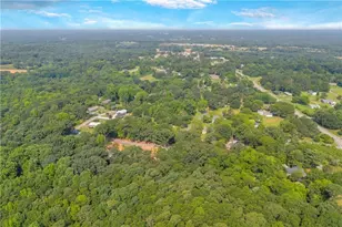 155 Carey St, Franklin Springs, GA 30662 - Photo 47