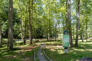 986 Mountain Oak Rd, Ellijay, GA 30536 - Photo 43