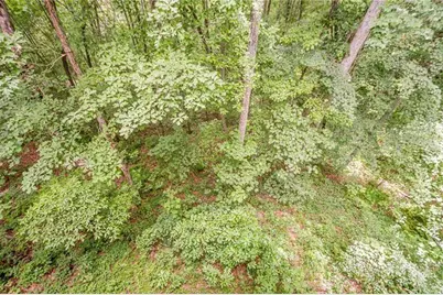 213 Moonshine Hollow, Blue Ridge, GA 30513 - Photo 33