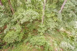 213 Moonshine Hollow, Blue Ridge, GA 30513 - Photo 33