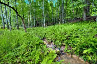 18131 Morganton Highway, Morganton, GA 30560 - Photo 57