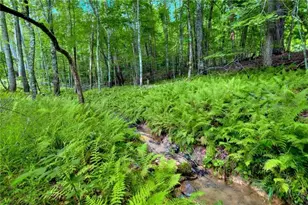 18131 Morganton Hwy, Morganton, GA 30560 - Photo 57