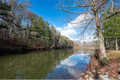 201 Talona Lake Terrace, Ellijay, GA 30536 - Photo 41