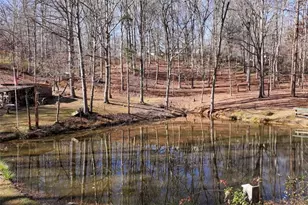 147 Twin Peaks Dr, Demorest, GA 30535 - Photo 81