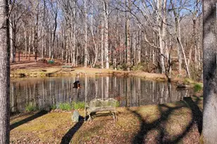 147 Twin Peaks Dr, Demorest, GA 30535 - Photo 89