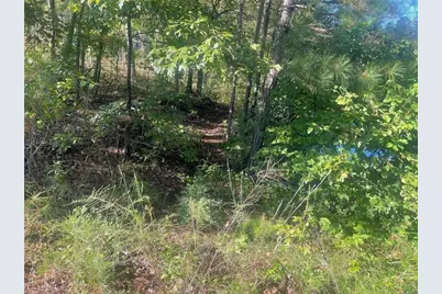 115 Haven Brook Way, Douglasville, GA 30134 - Photo 7