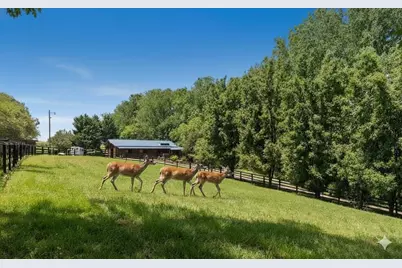 200 McClure Drive, Cumming, GA 30028 - Photo 49