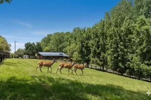 200 McClure Dr, Cumming, GA 30028 - Photo 49