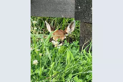 200 McClure Drive, Cumming, GA 30028 - Photo 39