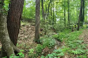 200 McClure Dr, Cumming, GA 30028 - Photo 61