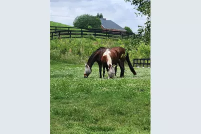 200 McClure Drive, Cumming, GA 30028 - Photo 63