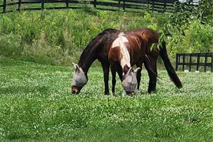 200 McClure Dr, Cumming, GA 30028 - Photo 63