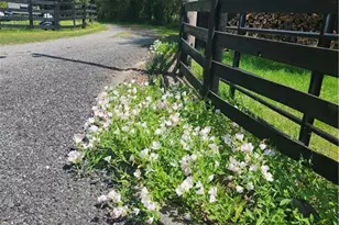 200 McClure Dr, Cumming, GA 30028 - Photo 59