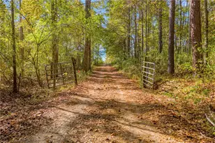 146 Moody Farm Rd, Newnan, GA 30263 - Photo 61