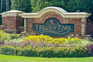 4880 Stone Moss Path, Hoschton, GA 30548 - Photo 61