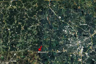 92 Old Bowdon Rd, Carrollton, GA 30117 - Photo 41