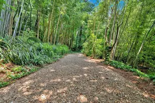 400 Old Ivy Rd NE, Atlanta, GA 30342 - Photo 99