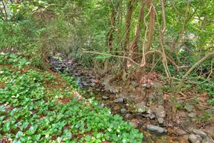 400 Old Ivy Rd NE, Atlanta, GA 30342 - Photo 105