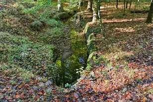 2977 Glover Dr, Cumming, GA 30040 - Photo 61