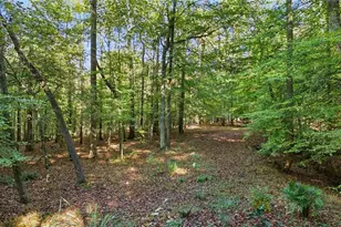 2977 Glover Dr, Cumming, GA 30040 - Photo 53