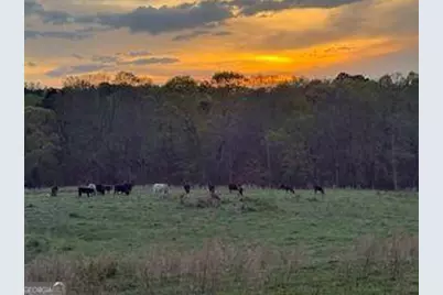 6295 Hawkins Drive, Cumming, GA 30028 - Photo 5