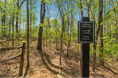 75 Night Fire Lane, Dawsonville, GA 30534 - Photo 47