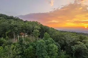 224 Eagle Rdg, Morganton, GA 30560 - Photo 3